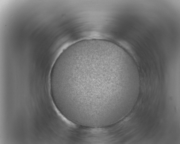 X0000066951479200604071925