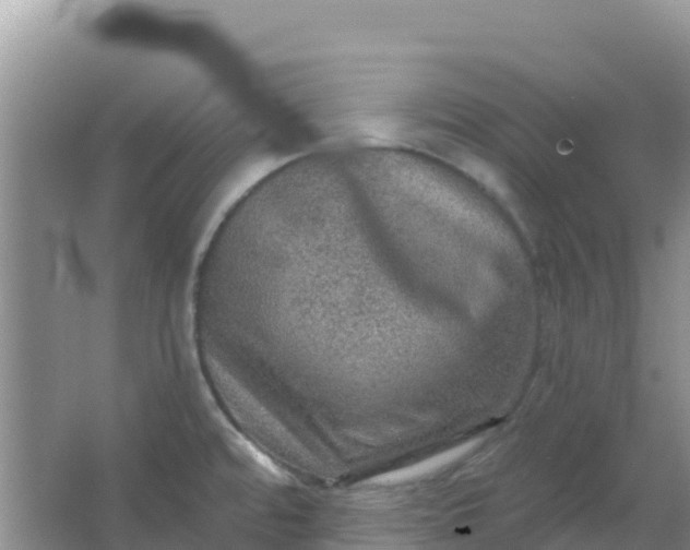 X0000066951480200604071925