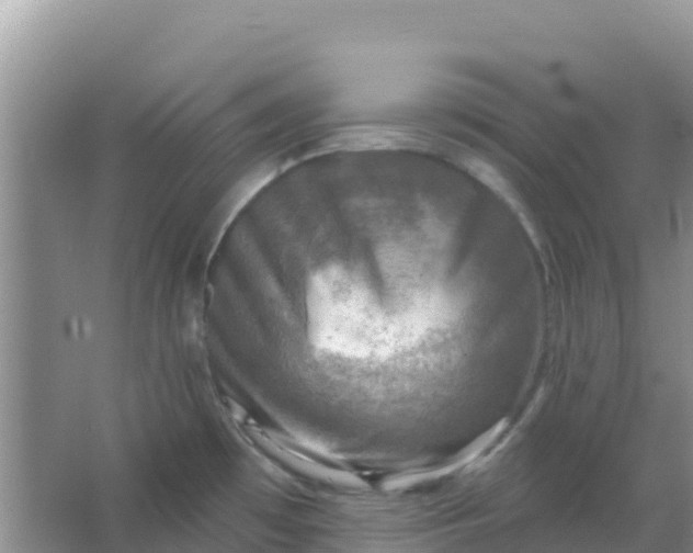 X0000066951481200604071925