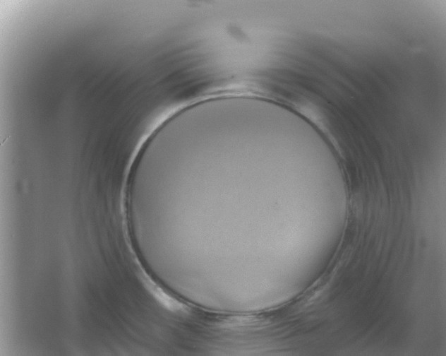 X0000066951482200604071925