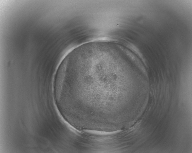 X0000066951483200604071925