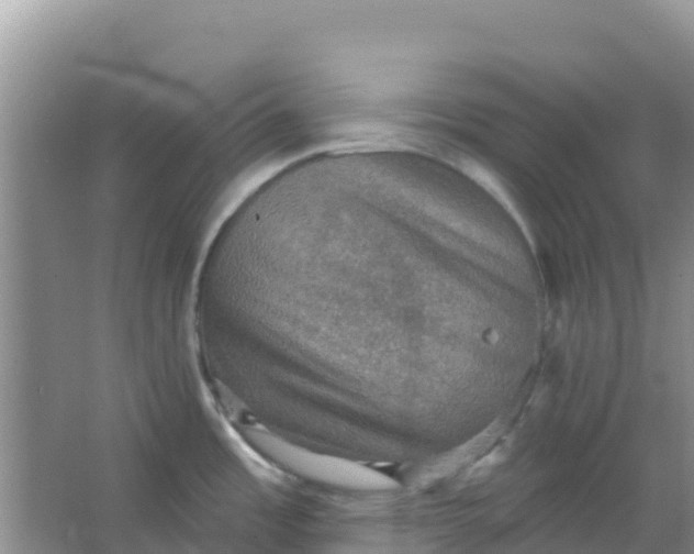 X0000066951485200604071925