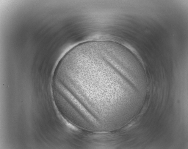 X0000066951486200604071925