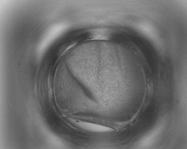 X0000066951487200604071925