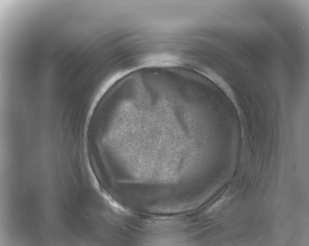 X0000066951488200604071925