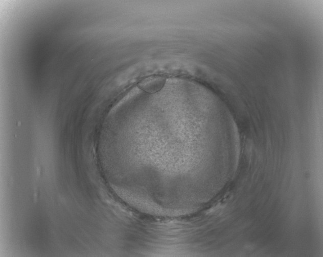 X0000066951489200604071924