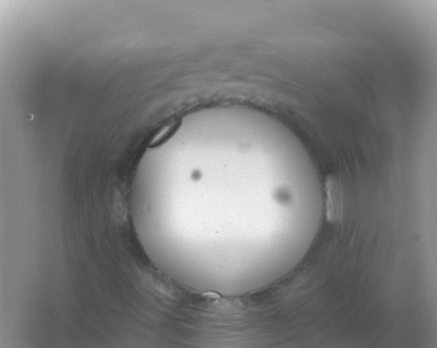 X0000066951491200604071924