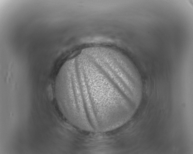 X0000066951493200604071924