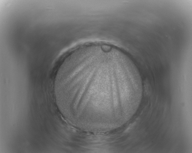 X0000066951494200604071924