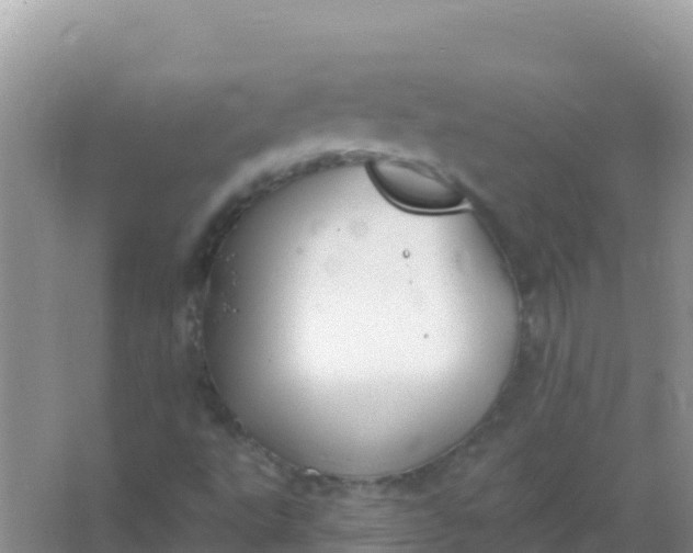 X0000066951495200604071924