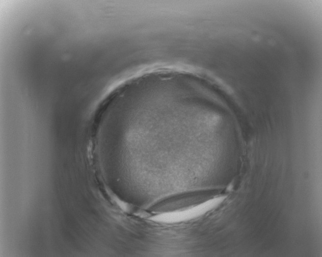 X0000066951496200604071924