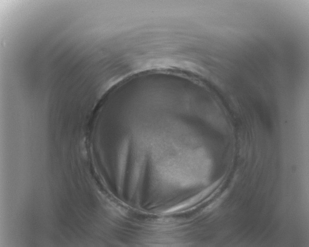 X0000066951497200604071924