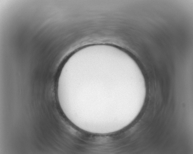 X0000066951498200604071925