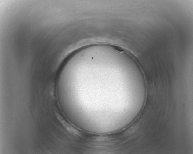 X0000066951499200604071925