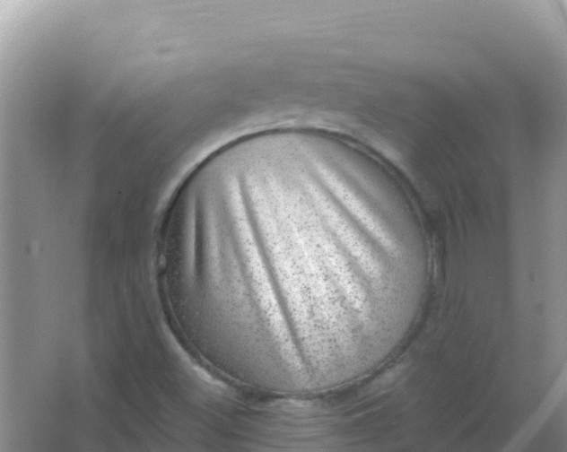 X0000066951500200604071925