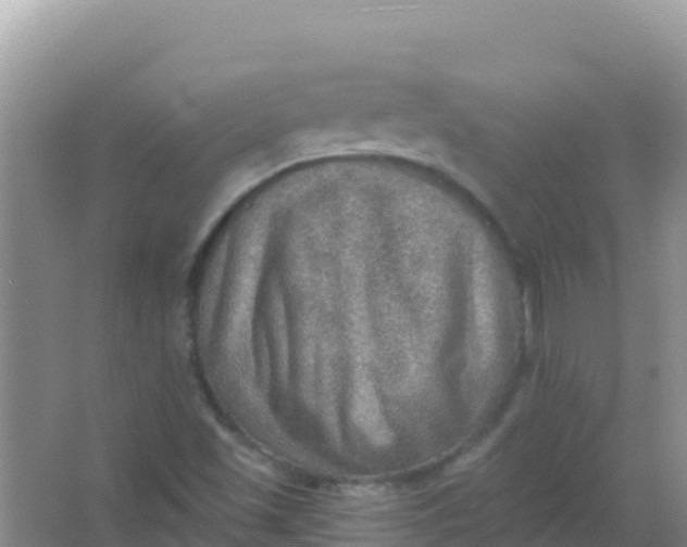 X0000066951501200604071925