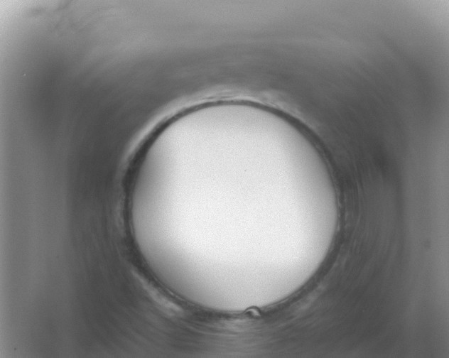 X0000066951502200604071925