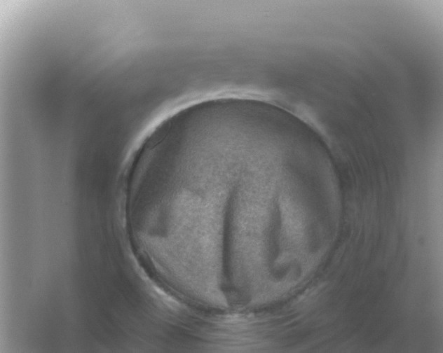 X0000066951504200604071925