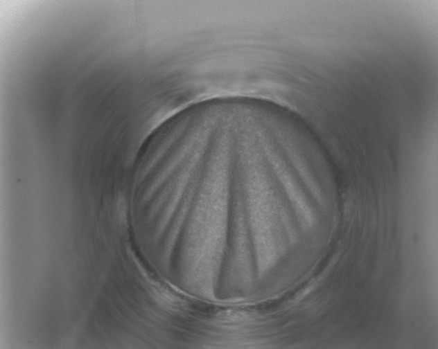 X0000066951505200604071925