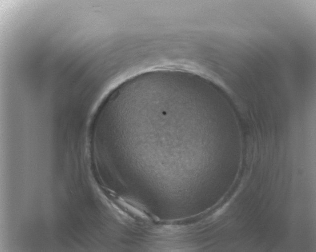 X0000066951506200604071925