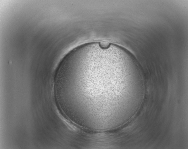 X0000066951507200604071925