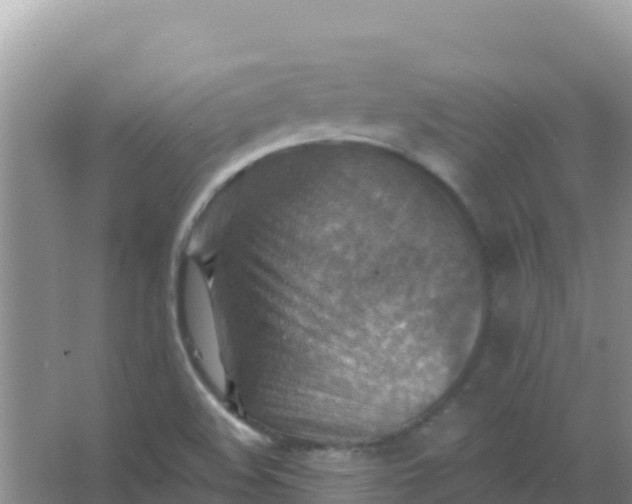 X0000066951508200604071925