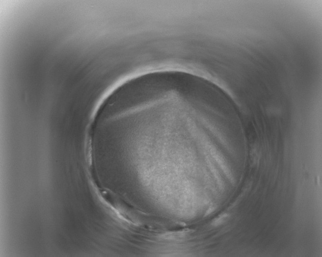 X0000066951510200604071925