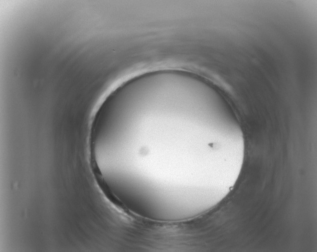 X0000066951512200604071925