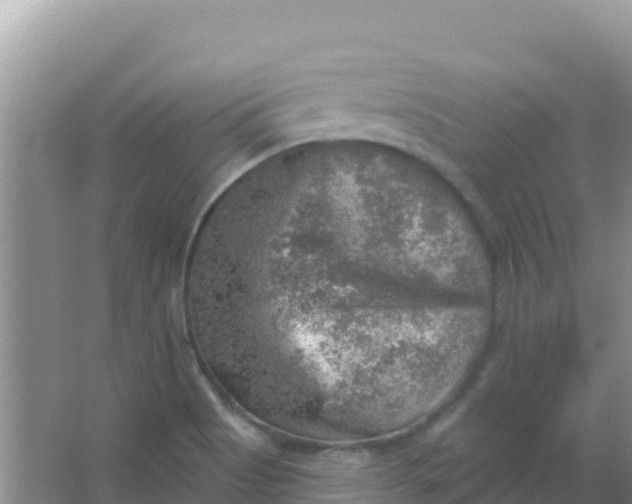 X0000066951513200604071925