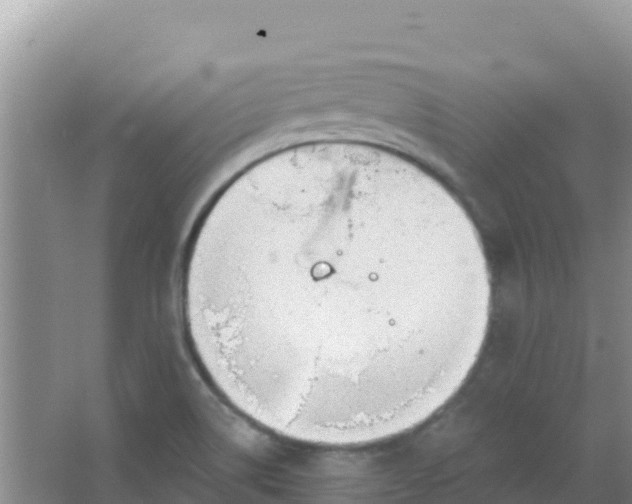 X0000066951514200604071925