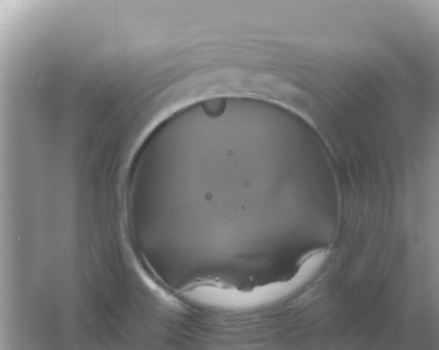 X0000066951515200604071925