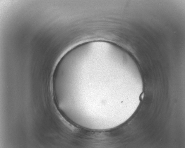 X0000066951516200604071925