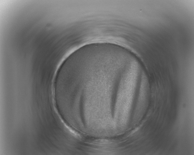 X0000066951517200604071925