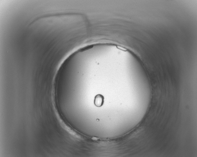 X0000066951518200604071925