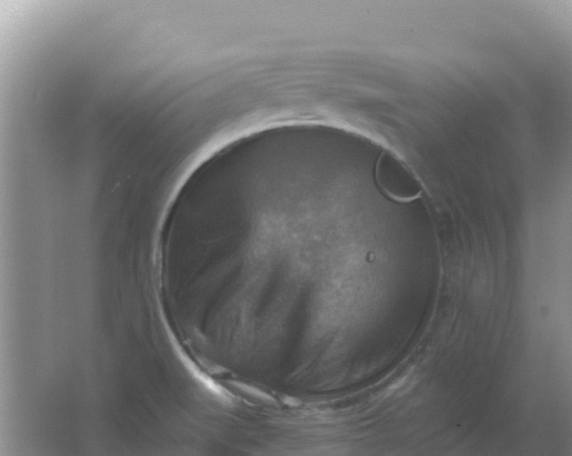 X0000066951519200604071925