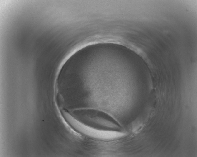 X0000066951520200604071925