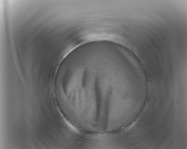 X0000066951521200604071925