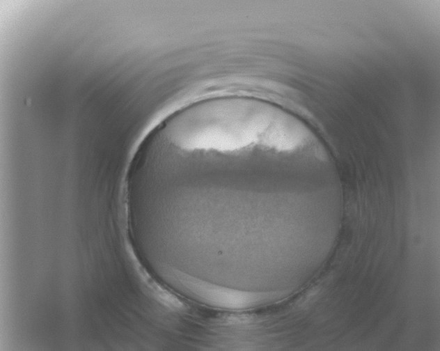 X0000066951522200604071925