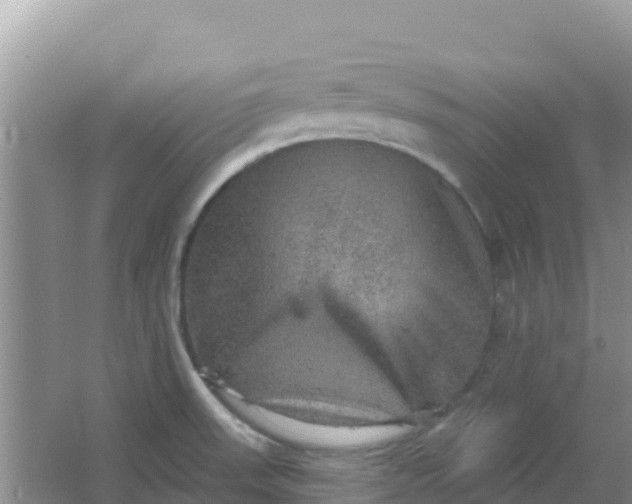 X0000066951523200604071925