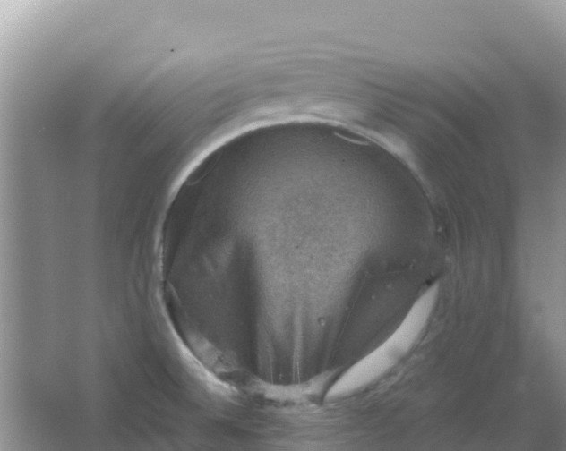 X0000066951524200604071925