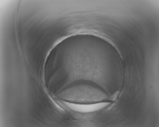 X0000066951525200604071925