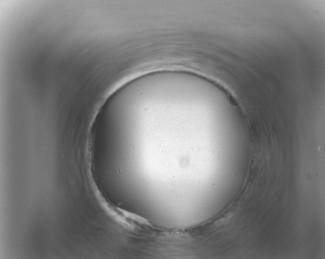 X0000066951526200604071925