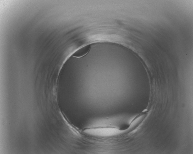 X0000066951529200604071925