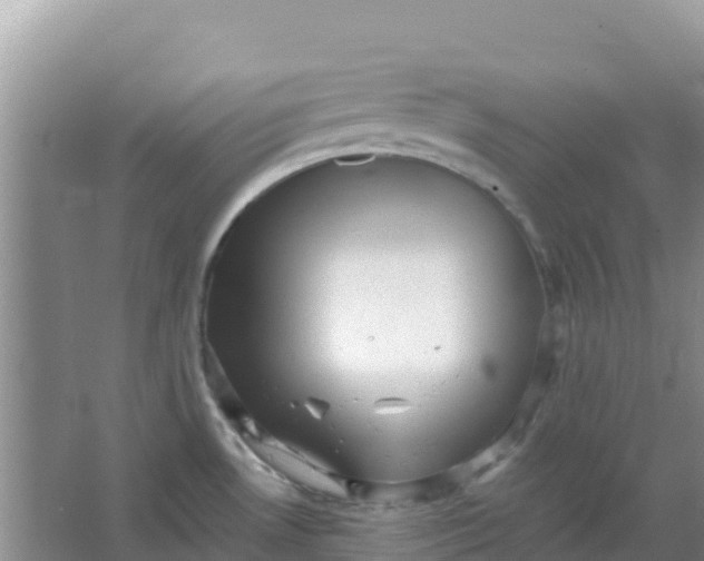 X0000066951530200604071925