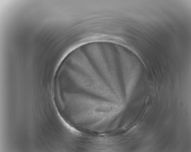 X0000066951531200604071925