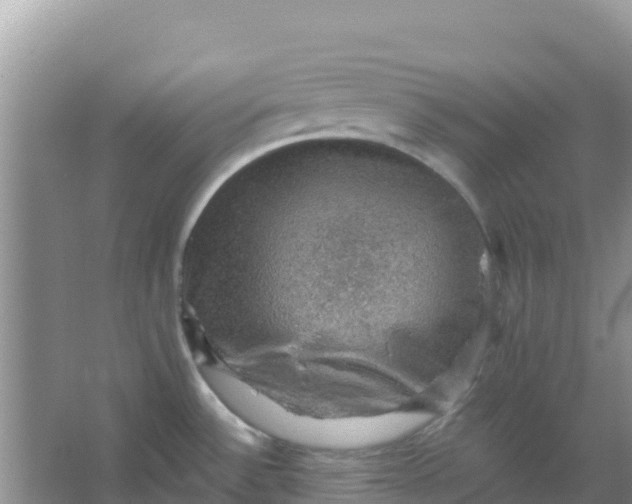 X0000066951532200604071925