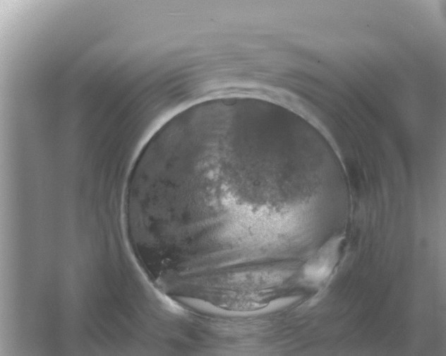 X0000066951533200604071925