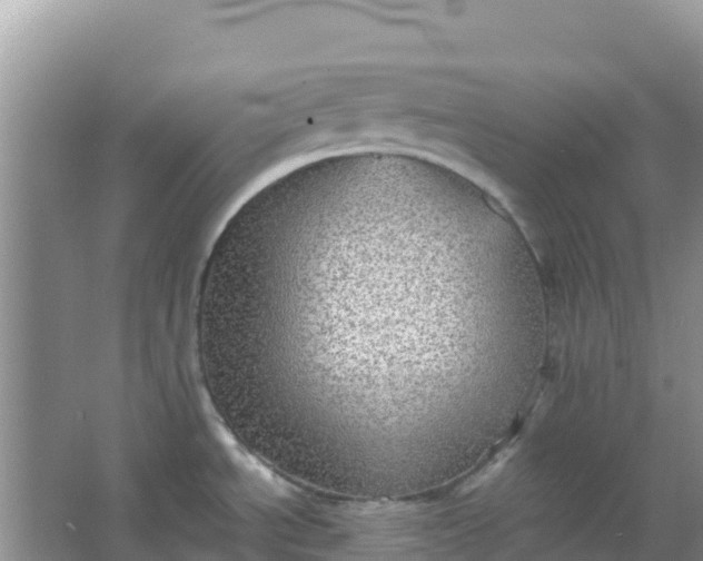 X0000066951534200604071925