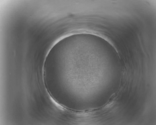 X0000066951535200604071925