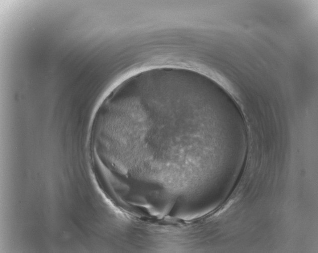 X0000066951536200604071925